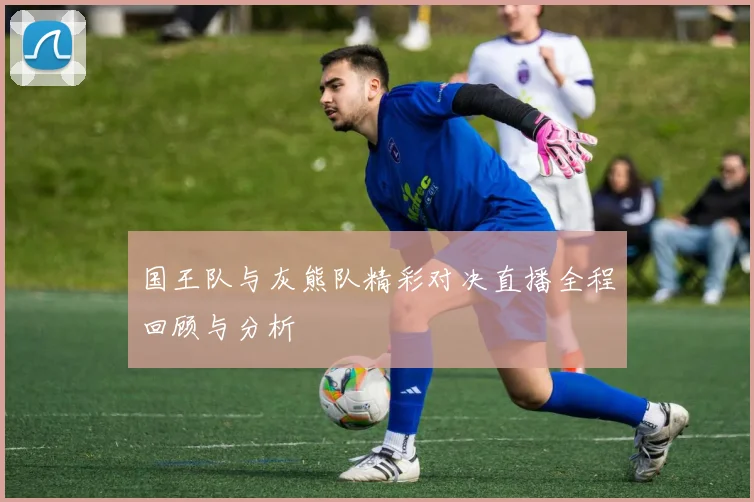 国王队与灰熊队精彩对决直播全程回顾与分析
