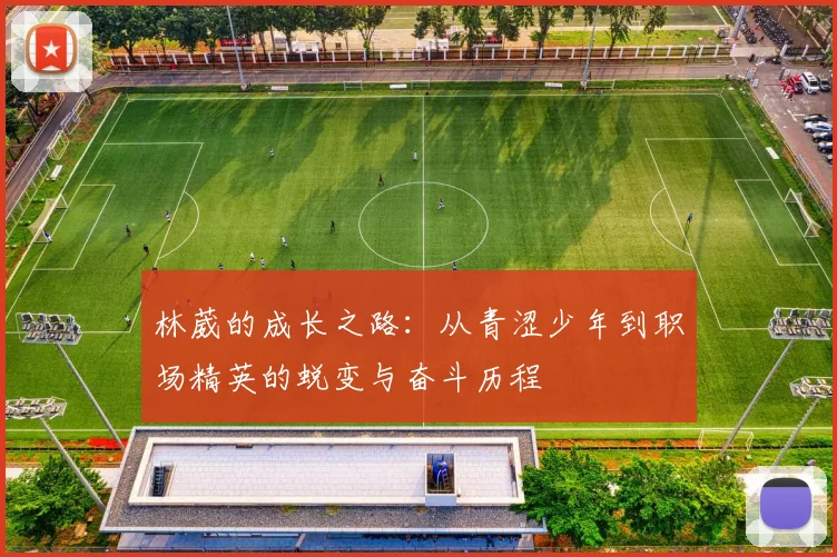 林葳的成长之路：从青涩少年到职场精英的蜕变与奋斗历程