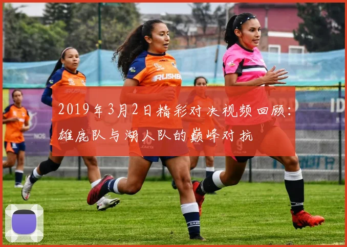 2019年3月2日精彩对决视频回顾：雄鹿队与湖人队的巅峰对抗