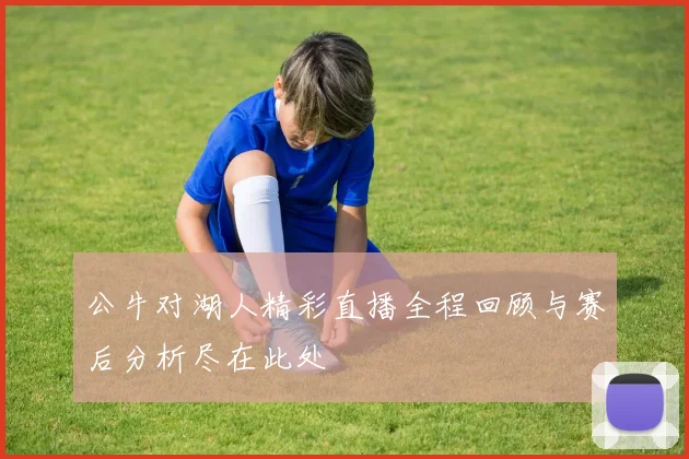 公牛对湖人精彩直播全程回顾与赛后分析尽在此处