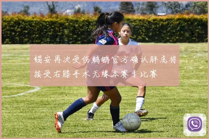 锡安再次受伤鹈鹕官方确认胖虎将接受右膝手术无缘本赛季比赛