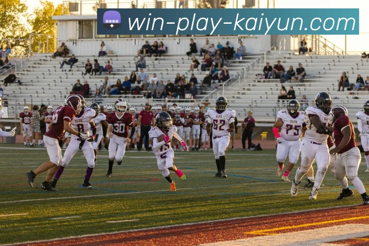 开云体育服务体系